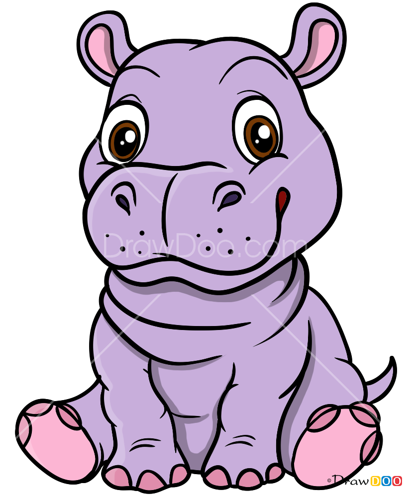 How to Draw Baby Hippo, Baby Animals